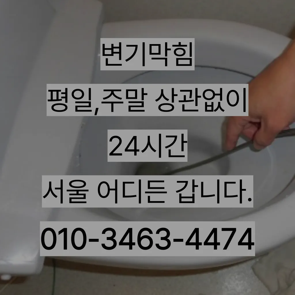 금천구변기막힘